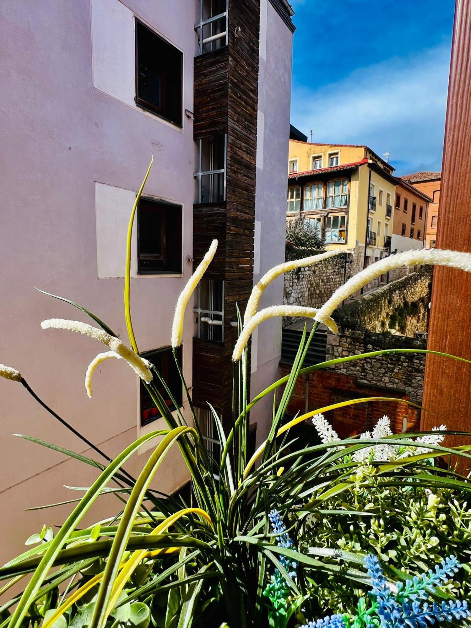 El Capricho De Claudia_ Apartamentos Burgos Catedral Экстерьер фото